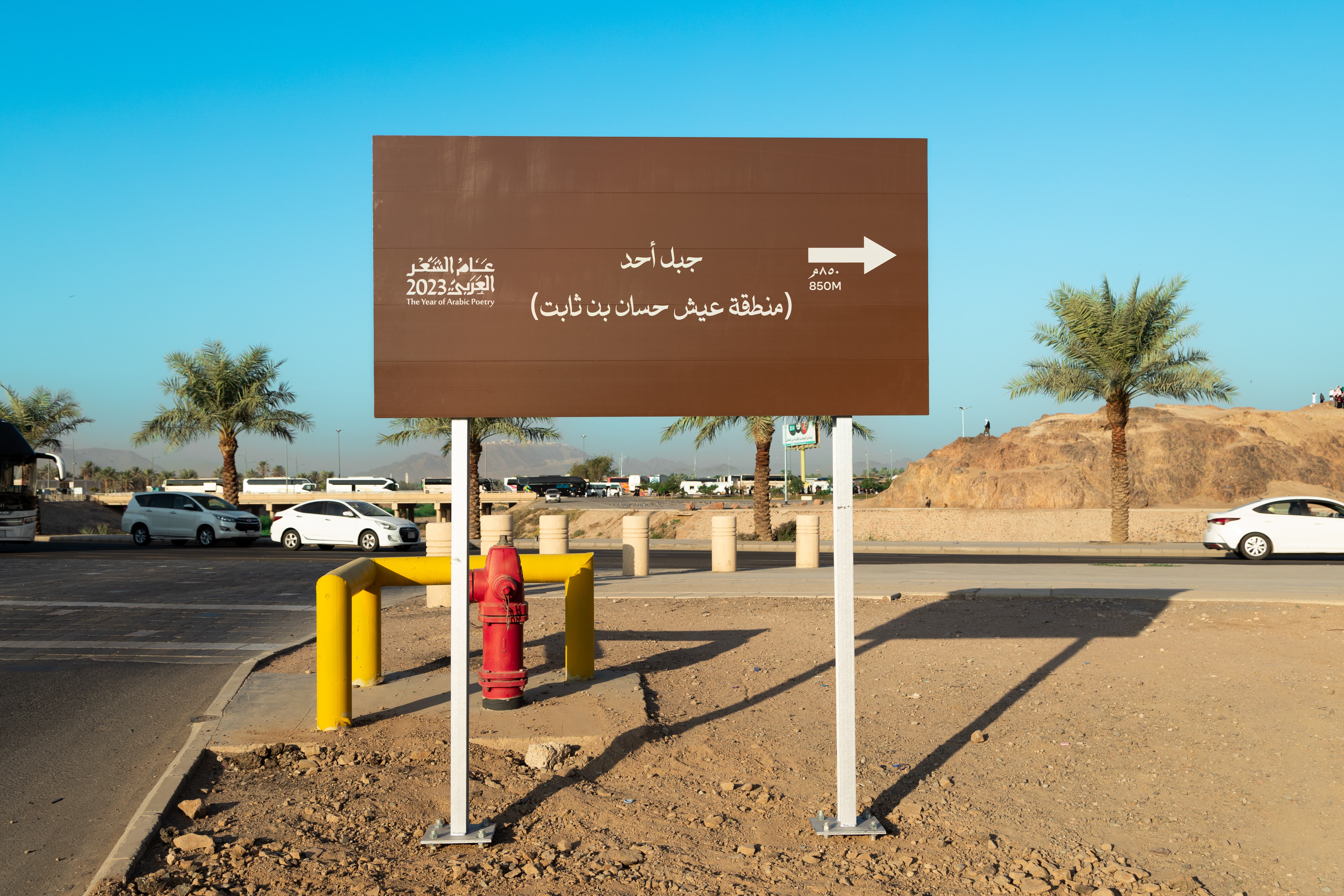 المدينة