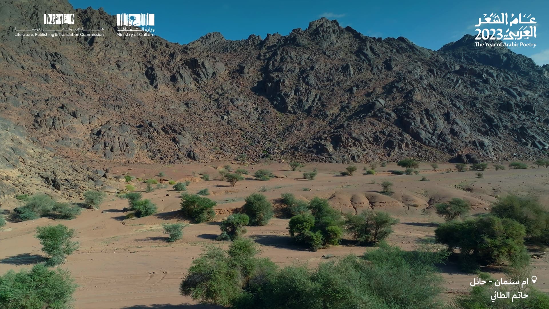 حاتم الطائي
